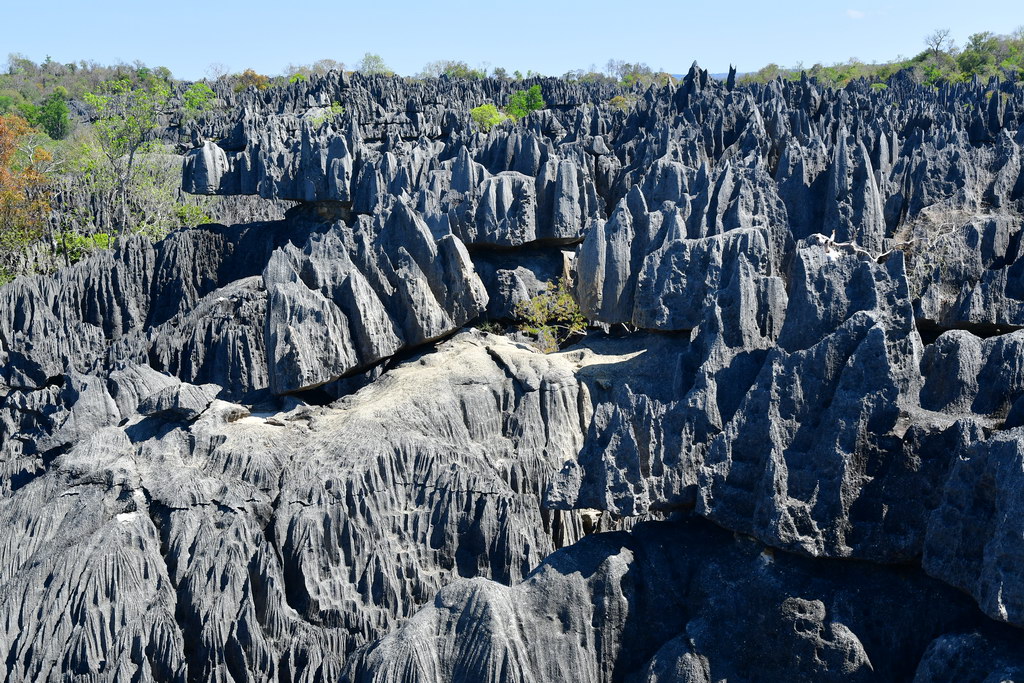 Tsingy of Bemaraha N.P.